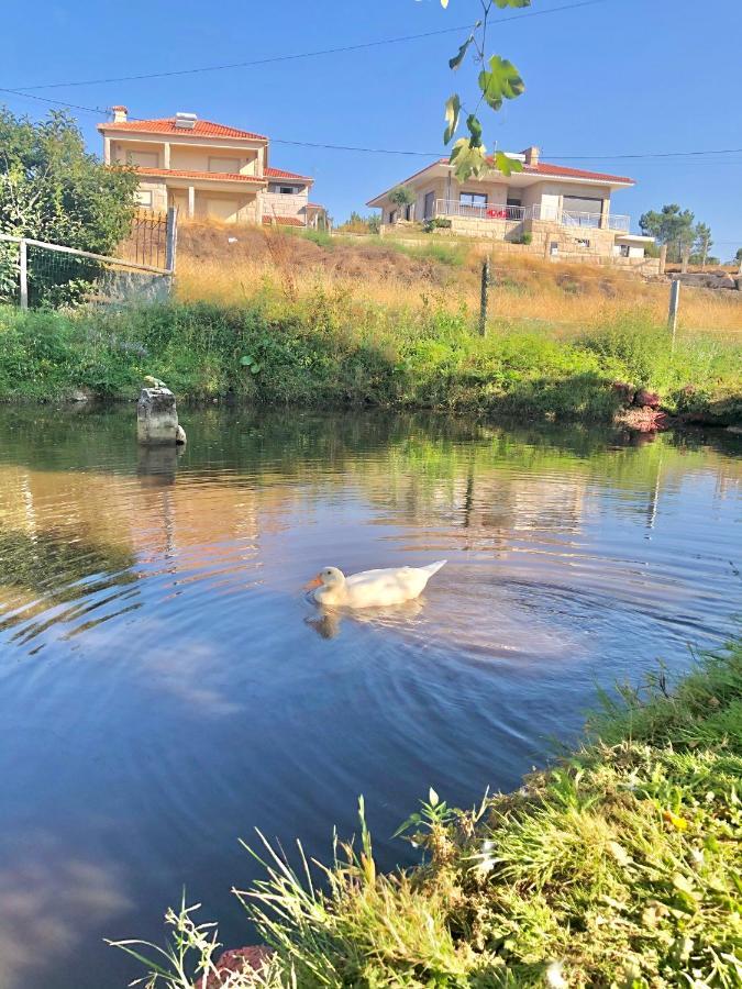 Willa Casa Da Quinta Da Prelada Simao Partie Basse Celorico De Basto Zewnętrze zdjęcie
